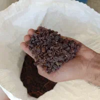 کشمش افتابی درجه یک ارگانیک و طبیعی|خوردنی و آشامیدنی|خرمدره, |دیوار