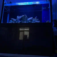 اکواریوم شیرین و شور