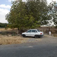 باغ-گردو-2000-متری-بیستون