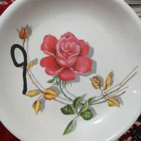 دونه ۹۰ همه طرح و گل بدون دیس قیمت دیسها ۱۸۰