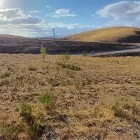 باغ ۱ هکتاری در روستای مشکین جیق بستان آباد|فروش زمین و ملک کلنگی|تیکمه داش, |دیوار