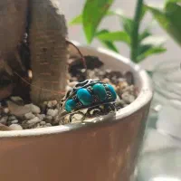 انگشتر فیروزه خاص