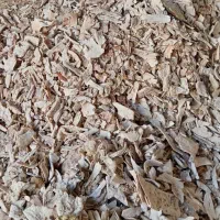 خرید ضایعات فلزی پلاستیکی به قیمت روز|عمده‌فروشی|سبزوار, زینبیه|دیوار