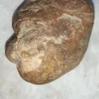 سنگ فسیلی خاص|کلکسیون اشیاء عتیقه|لاهیجان, لیالستان|دیوار