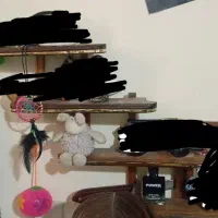 قفسه چوبی دکوری