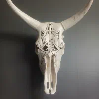 مجسمه گاو جمجمه دیوارکوب