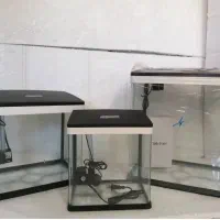 آکواریوم امواج|ماهی|زاهدان, |دیوار