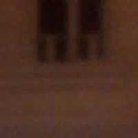 مسکن