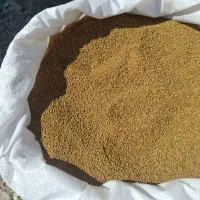 بذر یونجه|خدمات باغبانی و درختکاری|ساوه, |دیوار