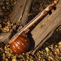 کمانچه الگوی دوخم استاد امیرعطایی