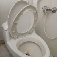 توالت فرنگی (دستشویی فرنگی) ایساتیس|لوازم سرویس بهداشتی|شیراز, وصال|دیوار