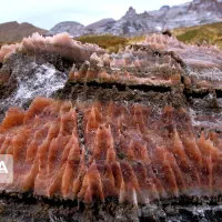 تور کوه نمک