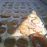 خدمات رنگ و تعویض پوست تنبک، پوست ضرب