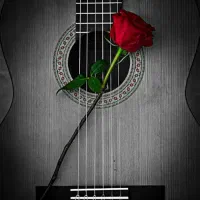 آموزش خصوصی و حرفه ای گیتار