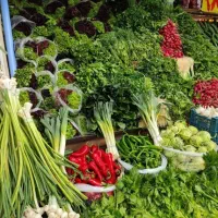 اجاره مغازه جهت سبزی و آبمیوه گیری