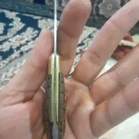 چاقو قدیمی|کلکسیون اشیاء عتیقه|خمینی‌شهر, |دیوار