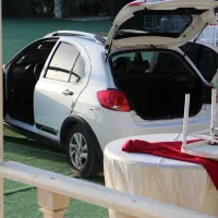 کوییک GXR L