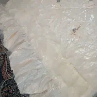 روتختی