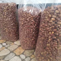 خرمای زاهدی خوزستان رسید بشتابید تا تموم نشده