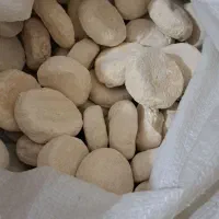 کشک درجه یک گوسفندی