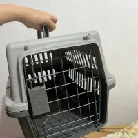 باکس گربه و خرگوش