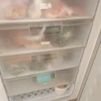 یخچال فریزر