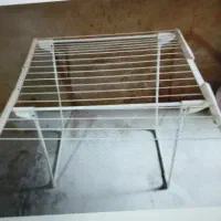 بندرخت