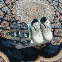 کفش کتونی ودمپای فروشی