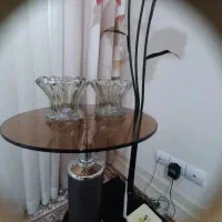 ۱۶ عدد لاله لوستر