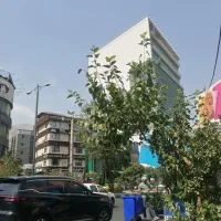 300متر تجاری