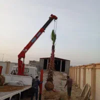 باغ . انبار . تالار|فروش دفتر صنعتی، کشاورزی، تجاری|بوشهر, |دیوار