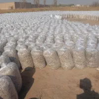 تفاله چغندر وسیب علوفه ذرت کنسانتره کولش یونجه