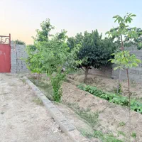 ۵۶۰مترباغچه چهاردیواری سنددارنسیم شهر|فروش دفتر صنعتی، کشاورزی، تجاری|نسیم‌شهر, |دیوار