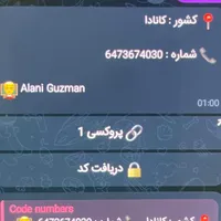ممبر مجازی (شماره مجازی )