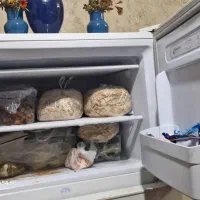 فروش یخچال|یخچال و فریزر|برازجان, |دیوار