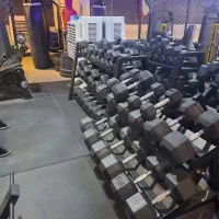 منشی باشگاه زنونه