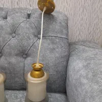 لوستر لوستر سالم