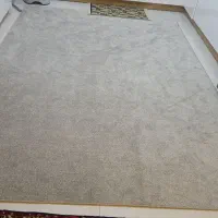 پالاز موکت فرشینه|پادری|همدان, |دیوار