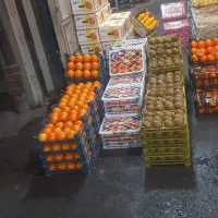 تهیه میوه وفرنگی وسیفجات برای میوه فروشی|خدمات پذیرایی، مراسم|تهران, میدان میوه و تره‌بار مرکزی|دیوار