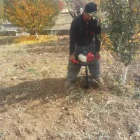 هرس تخصصی. چالکود.سمپاشی و امورات باغ|خدمات باغبانی و درختکاری|سنندج, |دیوار