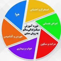 آموزش زندگی سالم