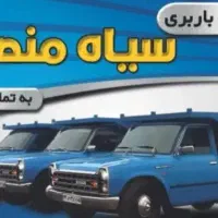 باربری سیاه منصوری