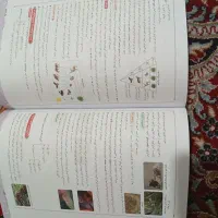 کتاب ماجرای بیست جامع نهم خیلی سبز|کتاب و مجله آموزشی|تهران, شهرک فردوس (حسینی)|دیوار