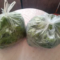 فروشی دوکیلو