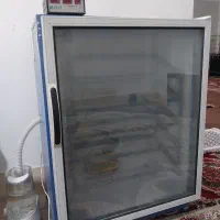 دستگاه جوجه کشی|لوازم جانبی حیوانات|آق قلا, |دیوار