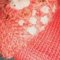 کلاه وشالگردن دخترانه وکاپشن وکفش