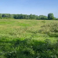 4-هکتار-مسکونی-شمال-کشور