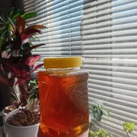 عسل درجه یک
