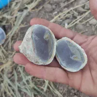 سنگ عتیقه، سکه قدیمی|کلکسیون اشیاء عتیقه|هرسین, |دیوار