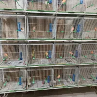 به یک فروشنده اقایاخانم فرقی نداری